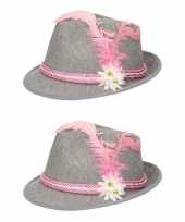 X stuks grijs roze tiroler hoedje verkleedaccessoire dames 10266035